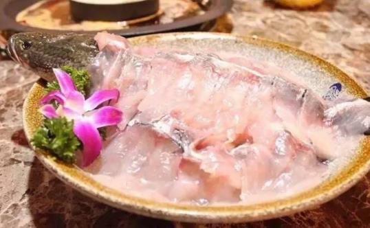 黑魚(yú)有哪些營(yíng)養(yǎng)成分？吃黑魚(yú)有哪些禁忌？