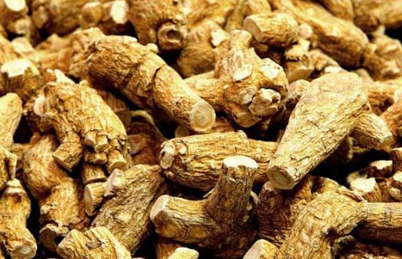 花旗參泡水喝有哪些功效？花旗參有哪些食用禁忌 ？