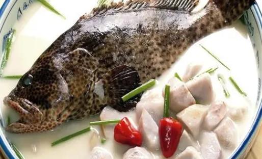 吃石斑魚有哪些功效？吃石斑魚的禁忌有什么？