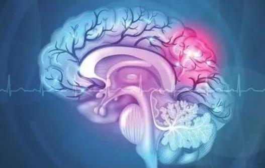 哪些疾病會(huì)引起腦供血不足？腦供血不足怎么調(diào)理？
