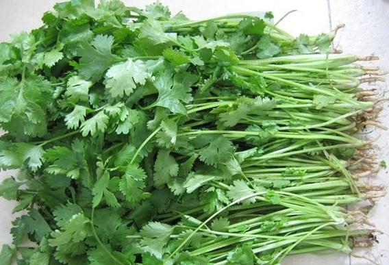 吃香菜有什么好處？哪些人不宜吃香菜？