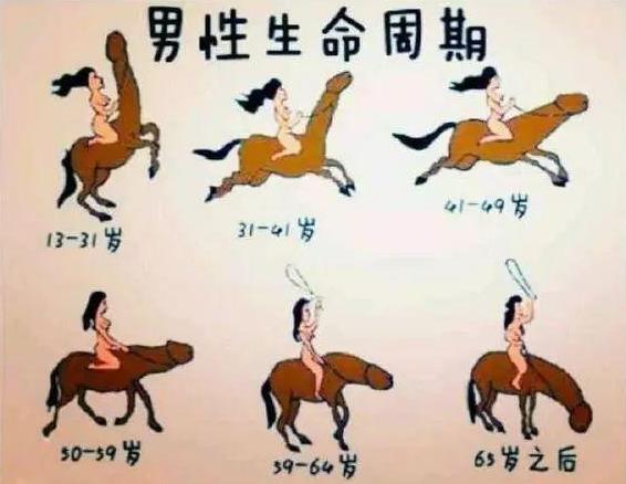 男性的丁丁是什么樣子的？平時如何健康保養(yǎng)[圖]