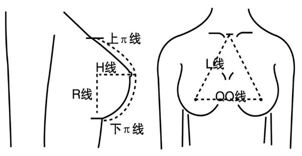 高中女生胸部應(yīng)該多大？高中女孩乳房一般多大發(fā)育標(biāo)準(zhǔn)？[圖]