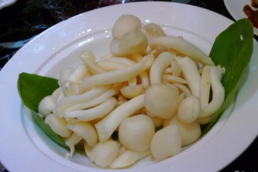 吃白玉菇有哪些好處？吃白玉菇要注意什么？