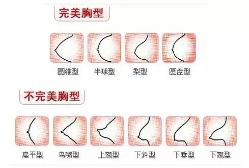 女人的胸長(zhǎng)什么樣子？女人的胸是什么樣的？[圖]