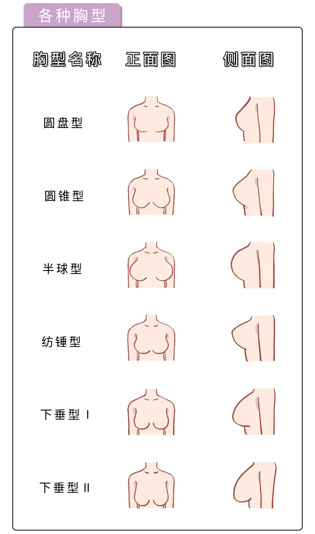 女人的胸長(zhǎng)什么樣子？女人的胸是什么樣的？[圖]