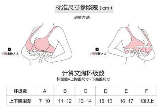 胸圍80c是多大？胸圍80c是多少厘米尺碼對照表？[多圖]