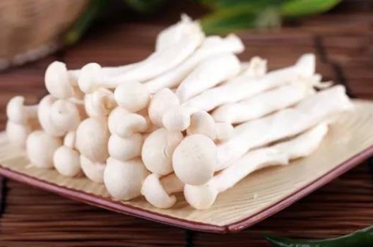 海鮮菇有哪些功效？海鮮菇怎么挑選