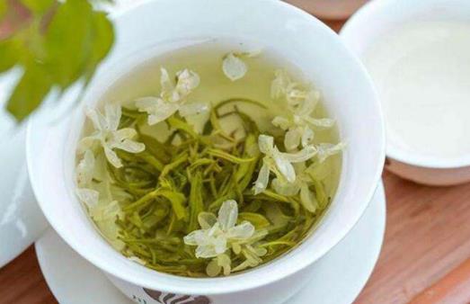 新鮮茉莉可以泡水喝嗎？茉莉泡水有什么禁忌？