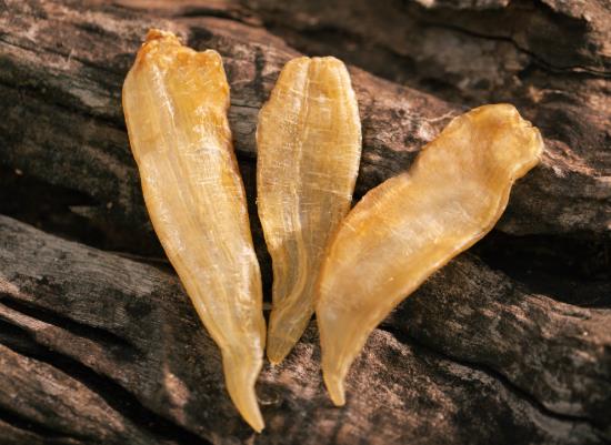 花膠要泡發(fā)嗎？花膠要泡多久為最佳