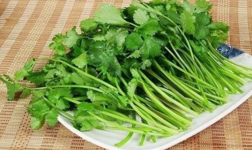 孕婦可以吃香菜嗎？孕婦吃香菜需要注意什么