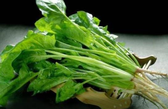 寶寶可以吃菠菜嗎？吃菠菜需要注意什么