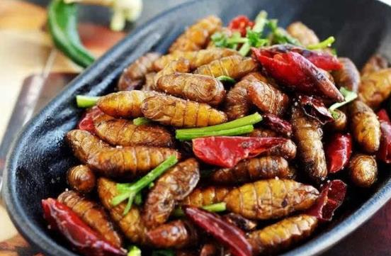 吃蠶蛹怎么預(yù)防中毒？吃蠶蛹要注意什么