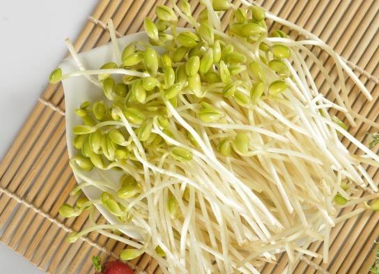 綠豆芽長葉能吃嗎？豆芽過夜怎么留才新鮮