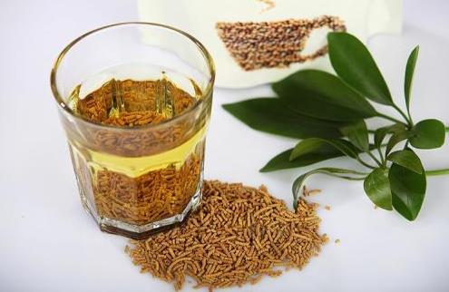 喝苦蕎茶有什么好處？苦蕎和蕎麥有什么區(qū)別？