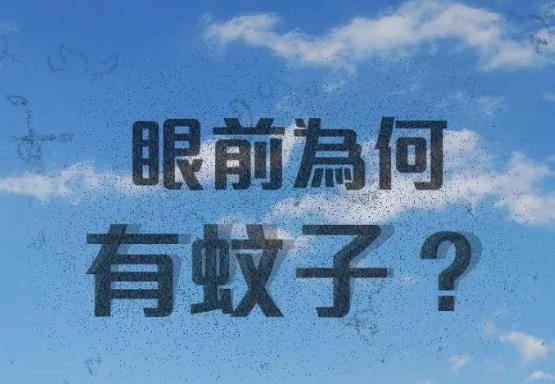 飛蚊癥有什么癥狀？如何有效預(yù)防飛蚊癥？