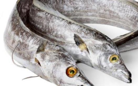 帶魚會導(dǎo)致過敏嗎？血脂高的人可以吃帶魚嗎