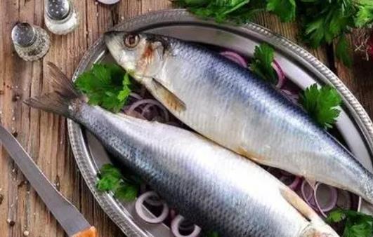 青魚是什么魚？青魚和什么一起吃好