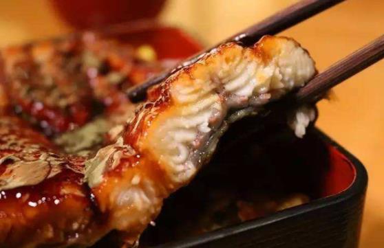 鰻魚是海鮮嗎？鰻魚有哪些功效