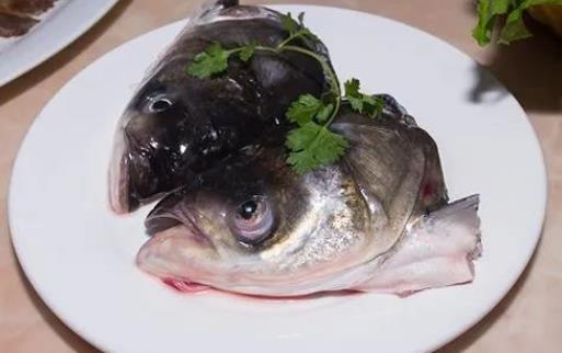 吃胖頭魚會(huì)胖嗎？吃胖頭魚需要注意什么