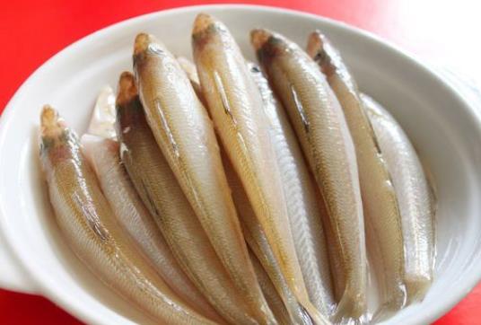 沙尖魚是沙丁魚嗎？怎么選購沙丁魚