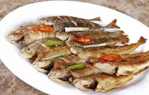 吃梭魚有哪些好處？梭魚有哪些吃法
