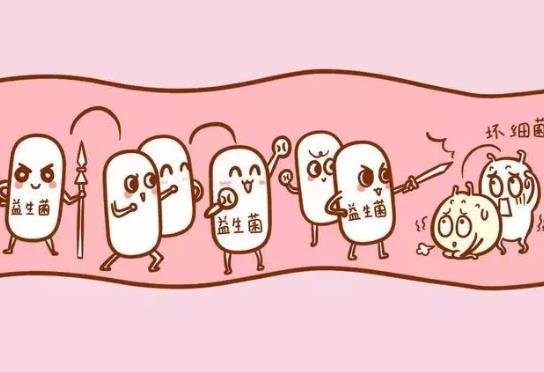 什么是益生菌？服用益生菌要注意什么？