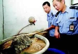 毛肚為什么有白色、黑色、黃色之分？白色毛肚是漂白的嗎？