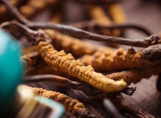 用什么酒泡蟲(chóng)草比較好？蟲(chóng)草泡白酒還用加什么嗎？