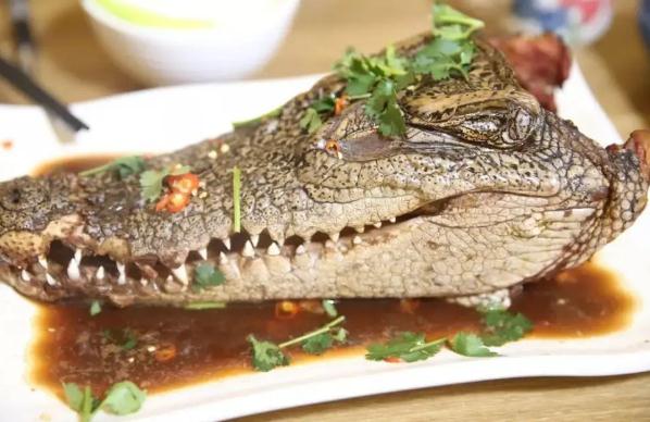 鱷魚肉的營養(yǎng)價(jià)值有哪些？鱷魚肉有什么功效？