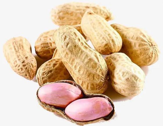花生的營養(yǎng)成分有哪些？吃花生有什么好處呢？