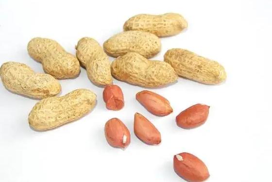 帶殼鮮花生可以冷凍嗎？剝好的花生米如何保存？