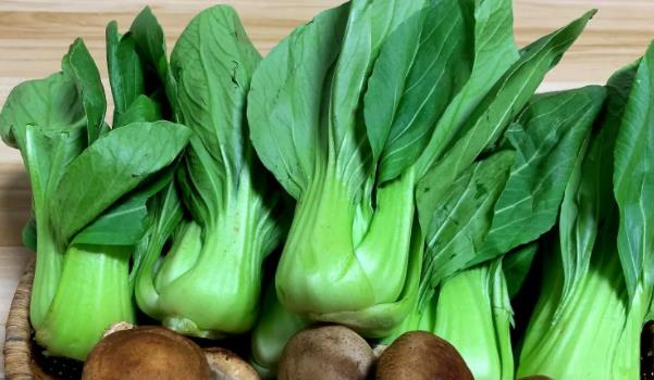 怎么挑選油菜？油菜有哪些營(yíng)養(yǎng)價(jià)值