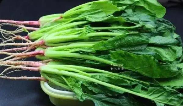 怎么選購(gòu)菠菜？菠菜的功效與作用