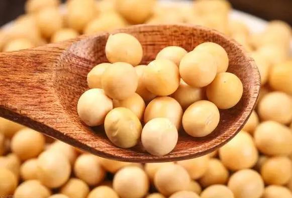 吃大豆有什么注意的嗎？為什么不建議吃大豆油？