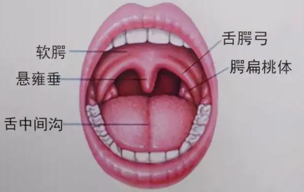 扁桃體炎癥狀有哪些？咽炎和扁桃體炎的癥狀區(qū)別是什么？