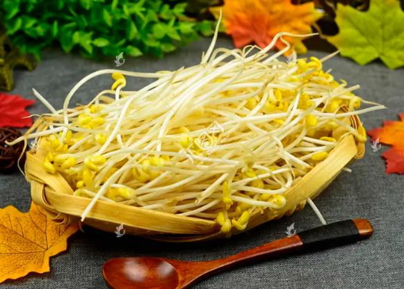 綠豆芽可以生吃嗎？綠豆芽長葉子了還能吃嗎？