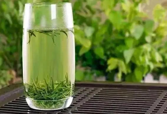 綠茶是什么？龍井是綠茶嗎？