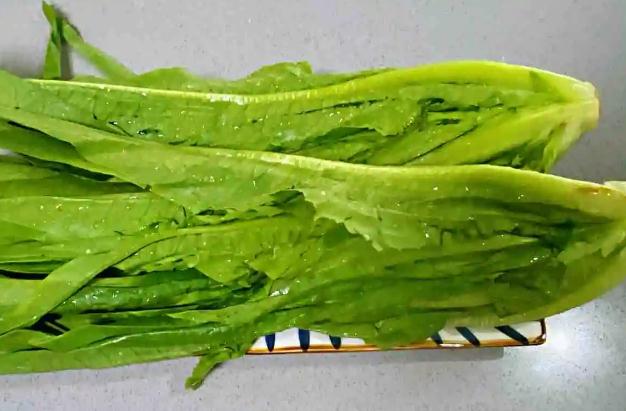 油麥菜熱量高嗎？油麥菜發(fā)苦什么原因？
