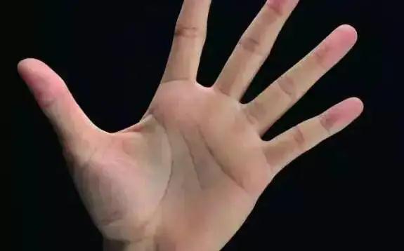 手心出汗的原因是什么？手心出汗怎么調(diào)理？