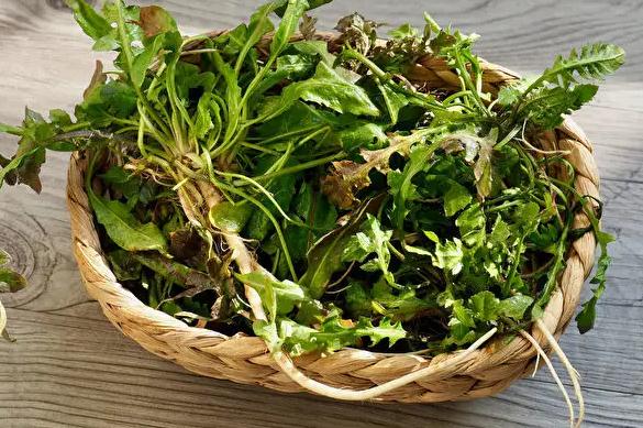 野菜有什么營養(yǎng)價值呢？吃野菜有什么壞處？