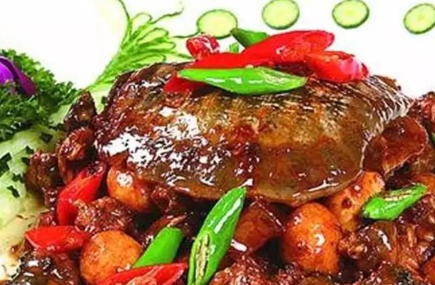 甲魚的食用禁忌有哪些？甲魚和雞肉能一起吃嗎？