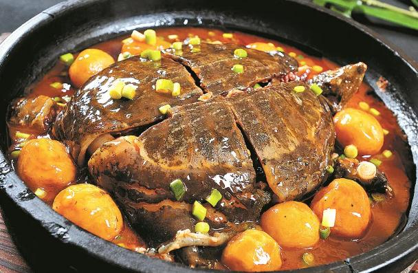 如何挑選甲魚(yú)？甲魚(yú)怎么處理？