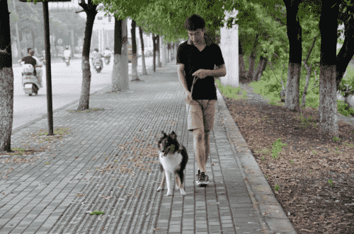 什么祛濕方法比較好？