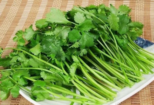 不喜歡吃香菜的原因有哪些？吃香菜會增加黑色素嗎？