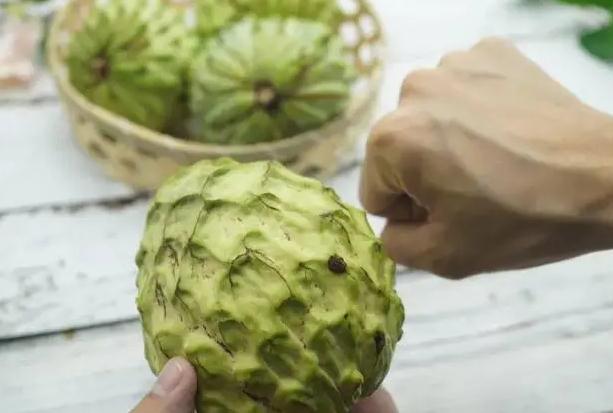 釋迦果選購技巧有哪些？釋迦果為什么那么貴？