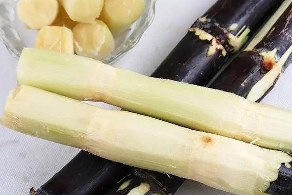 一根甘蔗的熱量有多少？甘蔗的功效與作用有哪些？