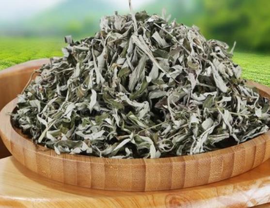 艾葉泡腳有什么禁忌 忌時(shí)間長,心腦血管疾病不宜泡