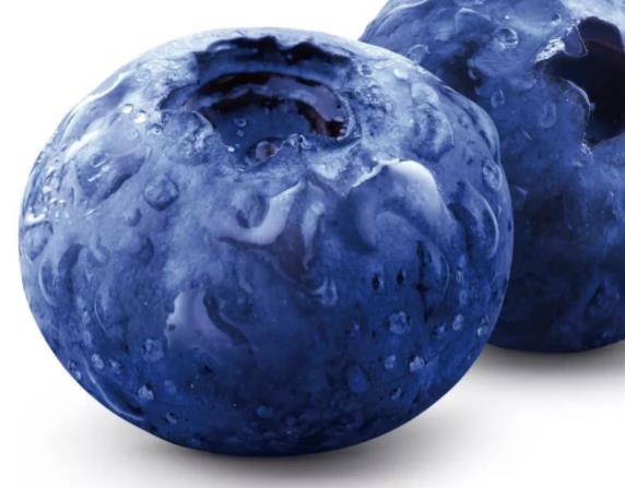 藍莓一天吃多少為宜 30-60克/天,過量吃腹瀉