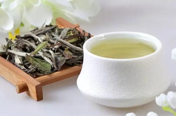 白茶用什么壺泡？白茶需要煮著喝嗎？